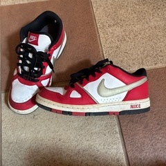 NIKEシューズの画像