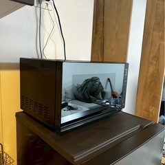 TWINBIRD電子レンジ 単機能 の画像