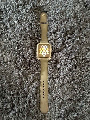 Apple Watch ジャンク