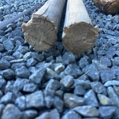 杭　くいの画像