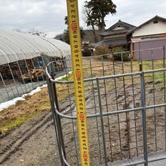 メッシュパレット　メッシュボックスの画像