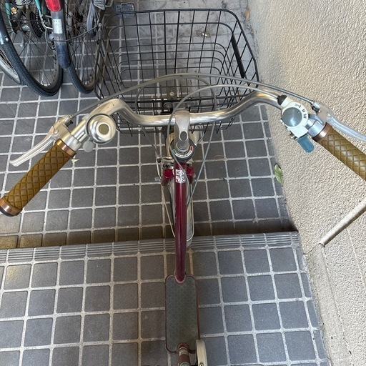 シニアサイクル こげーる