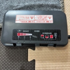 電気カーペットの画像