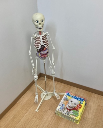 ジャンク品 デアゴスティーニ 人体模型 ホネッキー おしゃべりガイコツ