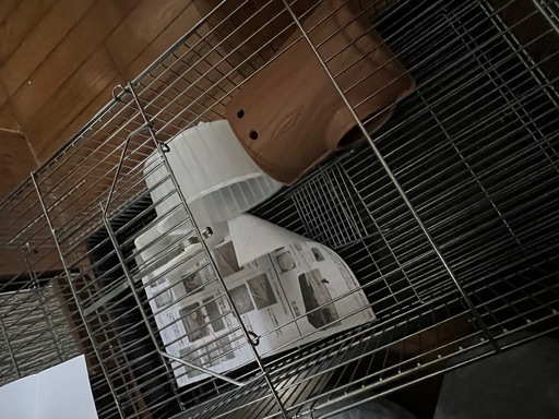 ハムスター　ゲージ　部屋
