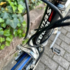 SEMAS CR1(カーボンロードバイク)の画像