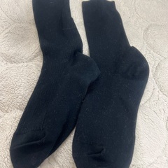 子供用19センチ　靴下付きの画像