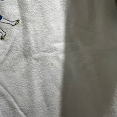 フィッシャーズ　Tシャツの画像