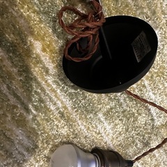照明器具（ライトのみ）の画像