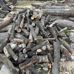 薪　玉切りしてます(早い者勝ち)の画像