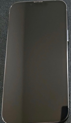 iPhone13ProMax1TB   SIM フリー