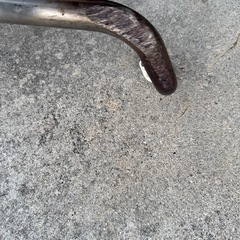 ホンダzoomer用　ヨシムラサイクロンマフラーの画像