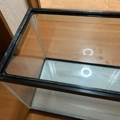 60cm水槽GEXの画像
