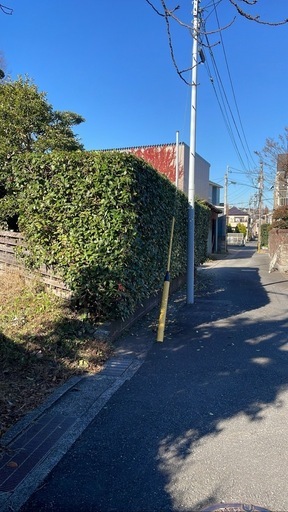 庭の手入れ