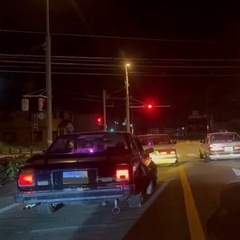 ブタ目マークiiの画像