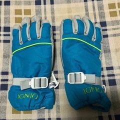 スノーグローブ