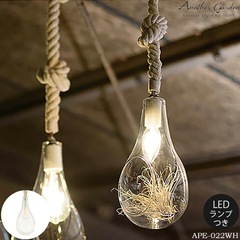 ボタニックハンギングライト