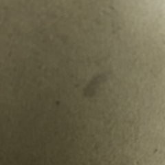 【配送可能】ヴィンテージ　ソファ　ソファー の画像