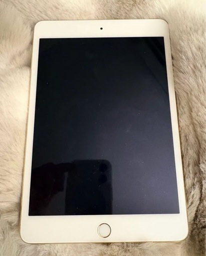 iPad mini5 最新！iPad OS26！大容量64GB！
