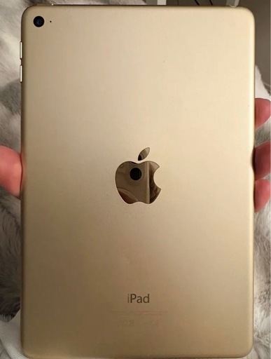 iPad mini5 最新！iPad OS26！大容量64GB！