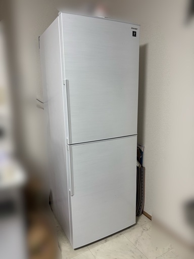 【問合せ多数・早い者勝ち】【取りに来れる方限定】シャープ冷蔵庫280ℓ(2022年))