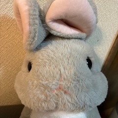 うさぎ 大きめ ぬいぐるみ フレッシュジャイアントラビット の画像