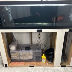 大型水槽一旦売り止めの画像