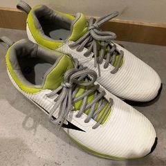 【商談中】ミズノ　ランバード　ゴルフシューズ  26.5の画像