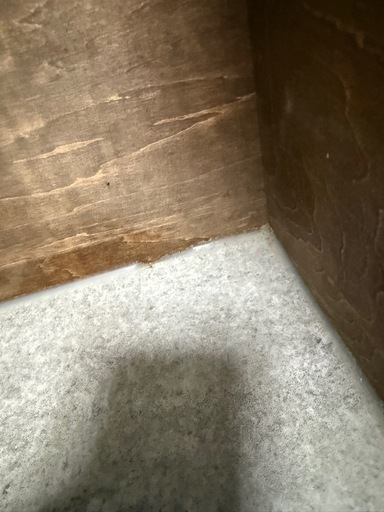 爬虫類 大型ケージ