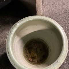 壺　縁起模様　龍柄　の画像