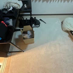 タンスのゲン　カーペット