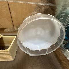 グラスハーモニー　中古の画像