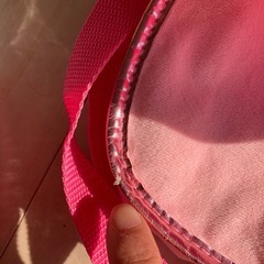 プリギュアバッグの画像