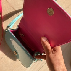 引き取り先決定エルサバッグの画像