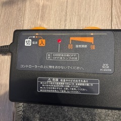 ニトリ電気カーペット2畳176×125の画像