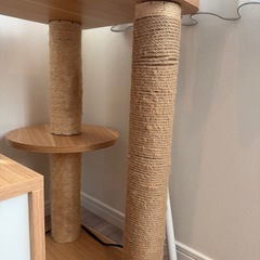 キャットタワーの画像