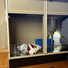 サンウェーブ　システムキッチン　ウッド調　木目　ステンレスの画像