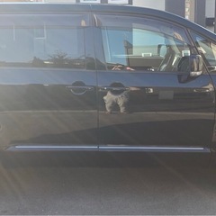 新春　デリカD5 xtreamJの画像