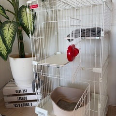 【購入者決定】キャットゲージの画像