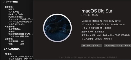 【美品 】Macbook 12 inch Gold