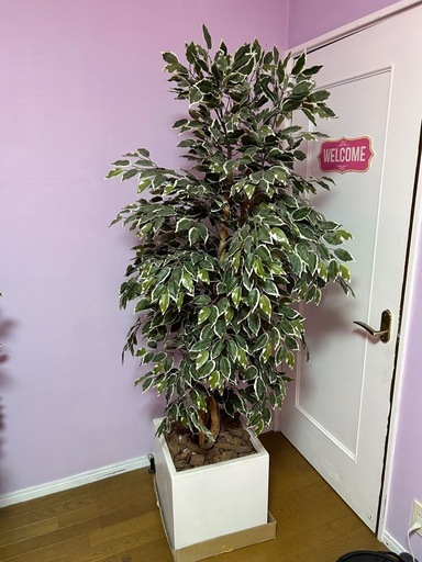 造花　観葉植物4点(鉢セット)