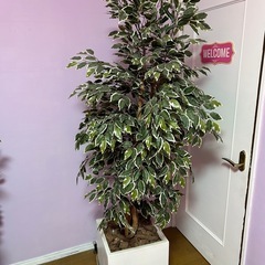 造花　観葉植物4点(鉢セット)の画像