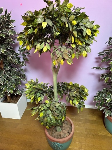 造花　観葉植物4点(鉢セット)