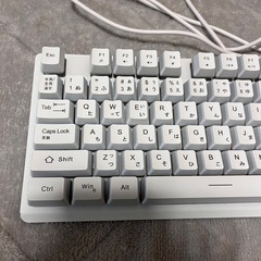 NPETゲーミングキーボード【女性使用】の画像
