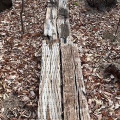 中古枕木の画像