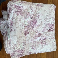 【受け渡しの方決まりました】西川　羊毛掛け布団の画像