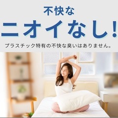 【日本製】すのこベッド プラスチックの画像