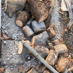 薪ストーブ用 薪　玉切　枝の画像