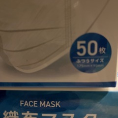 新品未使用　2箱マスク　1箱50枚入りの画像