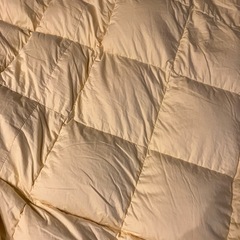 ダウン　肌掛け羽毛布団　ダブルの画像